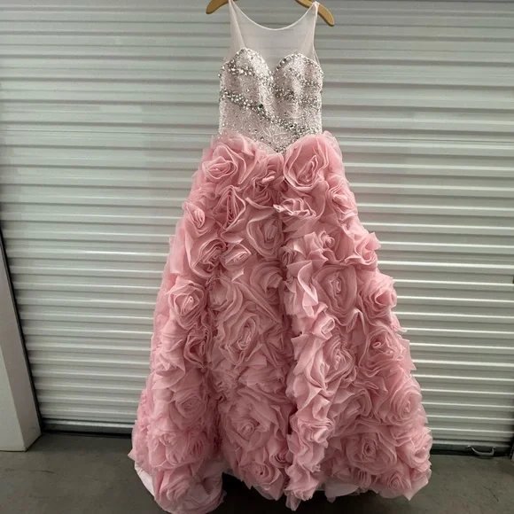 Blush Pink Beaded Ball Gown with Rosette Skirt – Medium Fit - Picture 6 of 16